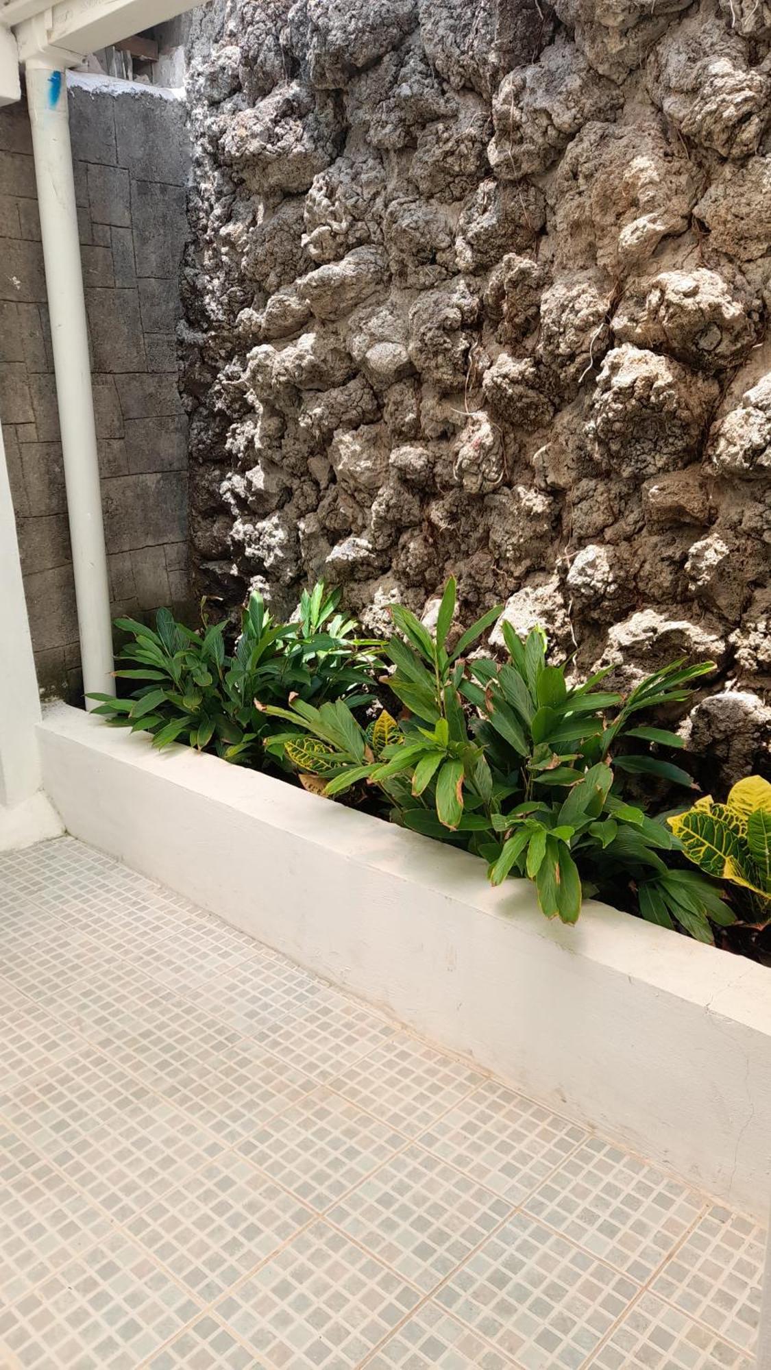 Managua Inn Pokój zdjęcie